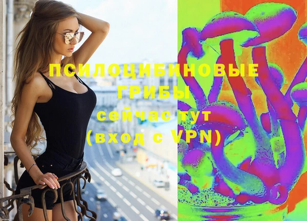 ешки Лабытнанги