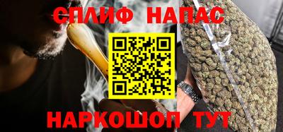 МДПВ Гатчина