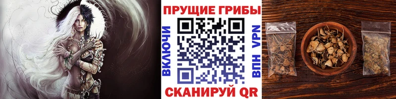 hydra зеркало  цена наркотик  Мелеуз  Галлюциногенные грибы GOLDEN TEACHER 